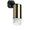 Светильник настенно-потолочный Lightstar Rullo RB43131 50Вт GU10
