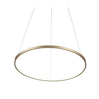 Светильник подвесной ST Luce ERTO SL904.203.01 12Вт LED