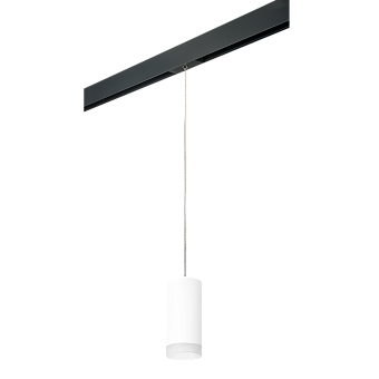 Трековый светильник Lightstar Rullo PRORP648680 50Вт GU10 белый для однофазного трека