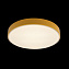 Светильник потолочный Loft It Axel 10002/24 Yellow 24Вт LED