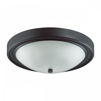 Светильник настенно-потолочный Lumion NINA 5260/3C 180Вт E27