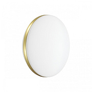 Светильник настенно-потолочный Sonex RINGO 7626/CL 30Вт LED