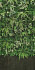 Матовый керамогранит ABK Wide and Style PF60009562 D+ Secret Garden Wall 280х120см 3,36кв.м.