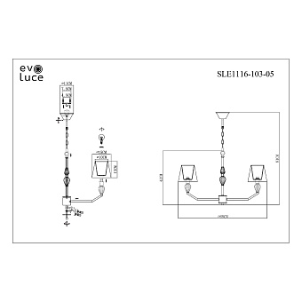 Светильник подвесной Evoluce BALNEA SLE1116-103-05 200Вт E14