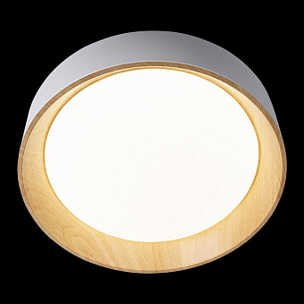 Светильник потолочный Loft It Coin 10202 White 36Вт LED