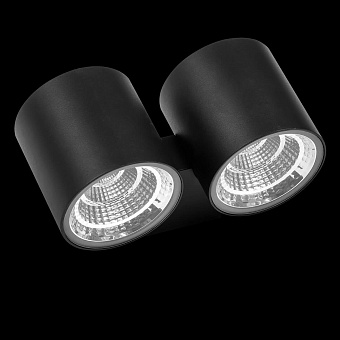 Светильник архитектурный Lightstar Paro 362672 32Вт IP65 LED чёрный