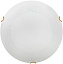 Светильник настенно-потолочный Sonex AMMONITE 7602/BL 24Вт LED
