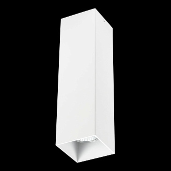 Светильник потолочный Lightstar RULLO 216596 50Вт GU10