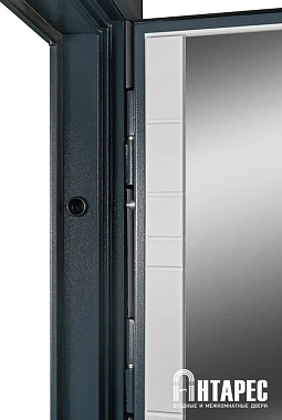 Входная дверь АНТАРЕС Дуэт Z0000012577 970х2050мм Серый матовый\Белый матовый правая