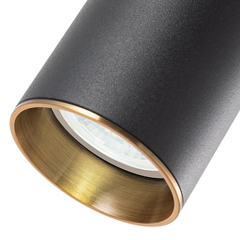 Светильник подвесной Arte Lamp RAN A3162SP-1BK 50Вт GU10