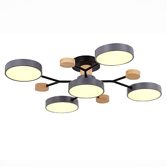 Светильник потолочный Evoluce FAEMA SLE6006-702-05 60Вт LED