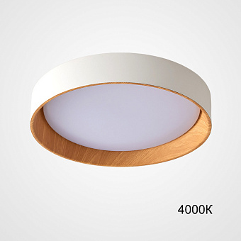 Светильник потолочный ImperiumLOFT Wenny 223980-23 24Вт LED