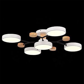 Светильник потолочный Evoluce FAEMA SLE6006-502-05 60Вт LED