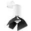 Светильник настенно-потолочный Lightstar Rullo RB436437 50Вт GU10