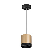 Светильник настенно-потолочный Lightstar Rullo RP34903487 15Вт GX 5.3