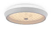 Светильник потолочный Freya Cells FR10012CL-L24W 24Вт LED