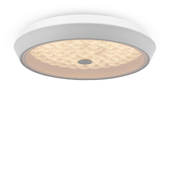Светильник потолочный Freya Cells FR10012CL-L24W 24Вт LED