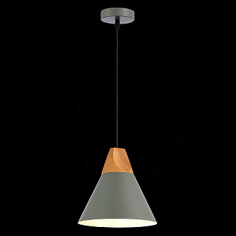 Светильник подвесной Evoluce MODICA SLE125113-01 40Вт E14