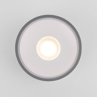 Светильник фасадный Elektrostandard Light a057472 35141/H 12Вт IP65 LED серый