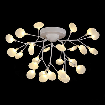 Светильник потолочный Evoluce AVOLA SLE250102-27 81Вт G4