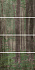Декор ABK Wide & Style PF60001874 D+ CP WOODS A 240х120см 11,52кв.м.