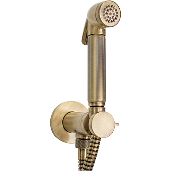 Гигиенический душ BOSSINI Nikita E37008B.022 бронза