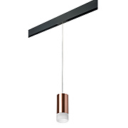 Трековый светильник Lightstar Rullo PRORP43031 50Вт GU10 матовый для однофазного трека