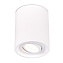 Светильник потолочный ST Luce Gipsum ST156.502.01 50Вт GU10