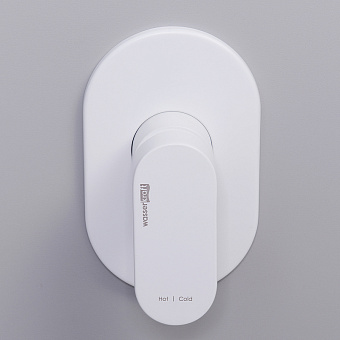 Смеситель для душа WASSERKRAFT Mindel 8551 белый (матовый)