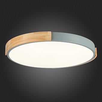 Светильник потолочный Evoluce DELIA SLE201372-01 40Вт LED