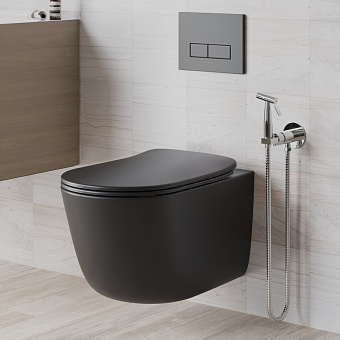 Гигиенический душ Paini Castello CACR442R хром