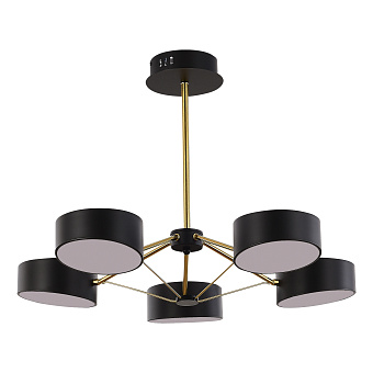 Светильник потолочный Evoluce VALLE SLE6005-402-05 50Вт LED