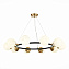Светильник подвесной Evoluce FORLI SLE220403-10 600Вт E27