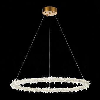 Люстра подвесная ST Luce Lucchero SL6105.213.01 212Вт 1 лампочек LED