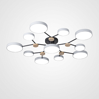 Люстра потолочная ImperiumLOFT Gamma 223764-23 138Вт 11 лампочек LED