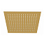 Верхний душ WASSERKRAFT Aisch 5500 A260 золотой