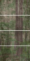 Декор ABK Wide & Style PF60001876 D+ CP WOODS C 240х120см 11,52кв.м.