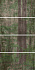 Декор ABK Wide & Style PF60001876 D+ CP WOODS C 240х120см 11,52кв.м.