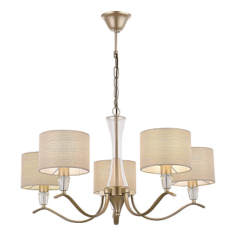 Светильник подвесной Evoluce CASSIA SLE1126-203-05 200Вт E14