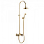 Душевая система Bongio Fleur Noir 12537OR0D золотой