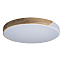 Светильник потолочный Loft It Axel 10004/36 White 36Вт LED