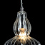 Светильник подвесной Maytoni Eustoma MOD238-PL-01-TR 40Вт E14