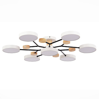 Светильник потолочный Evoluce FAEMA SLE6006-502-07 84Вт LED