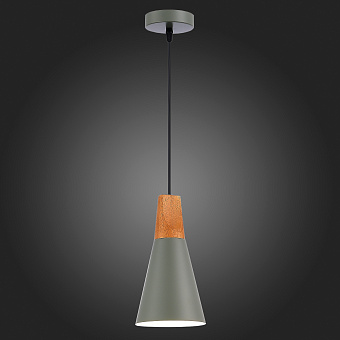 Светильник подвесной Evoluce MODICA SLE125173-01 40Вт E14