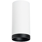 Светильник настенно-потолочный Lightstar Rullo R64863487 50Вт GU10