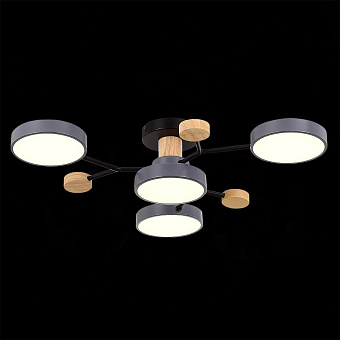 Светильник потолочный Evoluce FAEMA SLE6006-702-04 48Вт LED