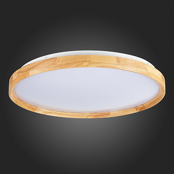 Светильник потолочный Evoluce DELIA SLE201382-01 40Вт LED