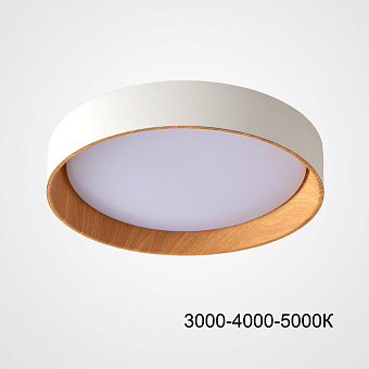 Светильник потолочный ImperiumLOFT Wenny 223981-23 24Вт LED