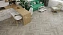 Виниловый ламинат Alpine Floor Дуб Фантазия ECO 20-1 555х127х2,5мм 43 класс 1,97кв.м