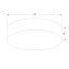 Светильник потолочный TK Lighting Rondo 4430 15Вт E27